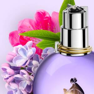 عطر زنانه پرنسس Vurv در افغانستان