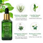 پک کامل ضد جوش BREYLEE مدل Green Tea – شامل سرم، فوم و کرم درمان جوش