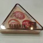 پالت رژگونه و هایلایتر سنگی سه رنگ آرت اسکین مدل Art Skin 3-Color Highlighter & Blush Palette