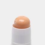 کانسیلر و رژگونه دوطرفه بیلیون بیوتی (Billion Beauty Dual-Ended Concealer & Blush)