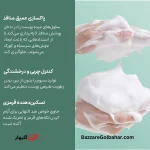 فیس واش سالسیلیک اسید بیوآکوا | BIOAQUA Salicylic Acid Acne Removal Cleanser