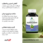 جنسینگ هندی | مکمل آشواگاندا Ashwacon برند Medi Green برای تعادل استرس و انرژی روزانه