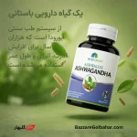 جنسینگ هندی | مکمل آشواگاندا Ashwacon برند Medi Green برای تعادل استرس و انرژی روزانه