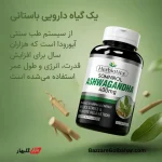 مکمل خوراکی آشواگاندا | تقویت سلامت مردان، کاهش استرس و افزایش انرژی با Herbiotics Somnirol