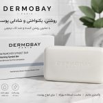 صابون DERMOBAY PARIS | پاک‌کننده و مراقبت روزانه پوست