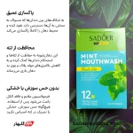 دهان‌شویه مسافرتی ساشه‌ای با طعم نعناع | پاکسازی عمیق و نفس تازه با ساشه‌های مسافرتی نعناع