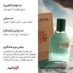 عطر آکوا پورا | ادکلن یونیسکس با رایحه اقیانوسی، خنک و ماندگار