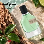 عطر آکوا پورا | ادکلن یونیسکس با رایحه اقیانوسی، خنک و ماندگار