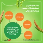کپسول تقویت‌کننده و ضد ریزش موی پریورین ن | تقویت مو از ریشه با فرمول اورجینال بایر آلمان