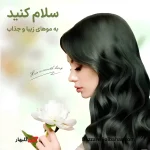 روغن تقویت‌کننده و حجم‌دهنده مو رزماری سادور | تقویت، حجم‌دهی و ضد ریزش مو با ۹۸٪ عصاره ارگانیک رزماری