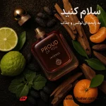 پرود آف یو اینتنس | ادکلن مردانه گرم، شیرین و وانیلی با شباهت فوق‌العاده به آرمانی استرانگر ویت یو اینتنسلی